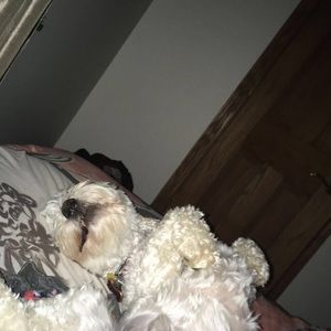 Meet your Posher, Cami